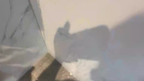 ironerectionn online show from March 26, 8:24 pm