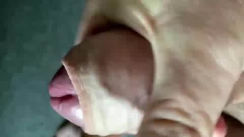 ispm online show from October 20, 7:18 pm