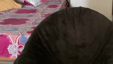 Snapshot of itsmylife021 chatting on October 29, 2:36 am Raje online show from October 29, 2:36 am