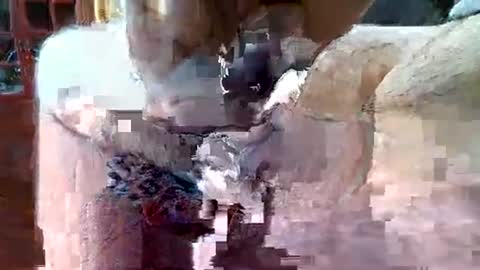 Snapshot of itsxxxtc chatting on December 17, 8:32 pm itsxxxtc online show from December 17, 8:32 pm