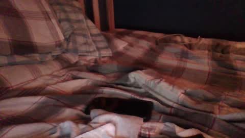 iwannaseeyourassnboobs69 online show from March 1, 2:48 am