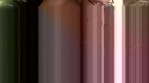 j557894 online show from November 2, 5:28 pm