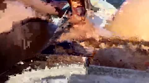 j789123 online show from April 17, 2:20 pm