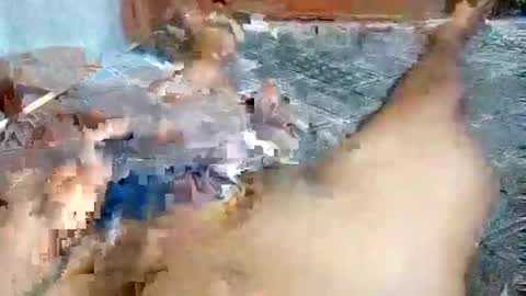 fabian online show from January 13, 10:52 am