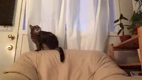 Jacob online show from October 19, 11:02 am