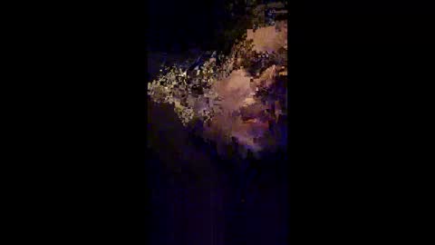 jakeav964l online show from February 11, 6:57 pm