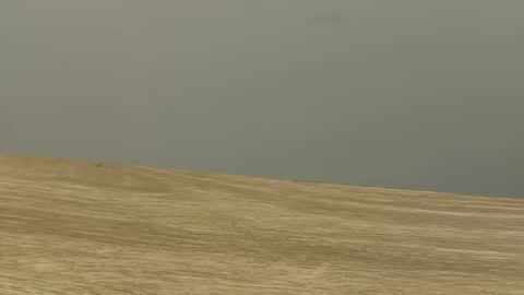 jaketakescock online show from March 25, 9:13 am