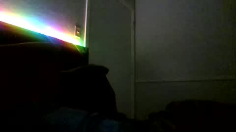 Snapshot of jamacianmehorny chatting on February 18, 10:16 am Jamacian online show from February 18, 10:16 am