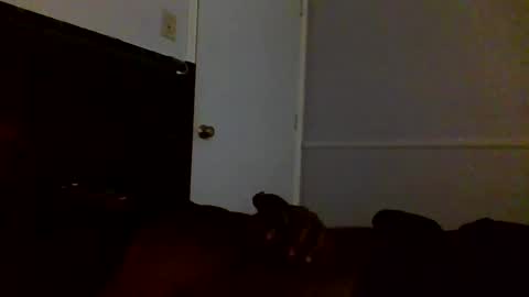 Snapshot of jamacianmehorny chatting on February 23, 5:46 pm Jamacian online show from February 23, 5:46 pm
