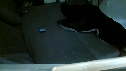 Jamacian online show from December 14, 8:16 pm