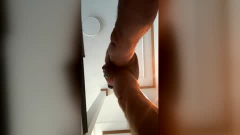 jamesquebec1991 online show from January 12, 1:26 pm