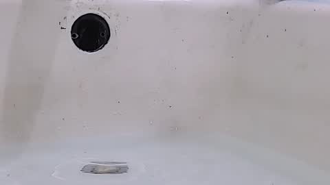 Bootyshows online show from March 16, 11:58 am