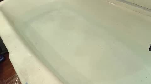 Snapshot of jamwarnerone chatting on October 29, 8:01 pm Bootyshows online show from October 29, 8:01 pm