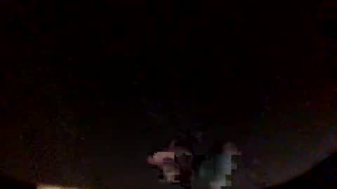 jardinflowers online show from November 5, 5:53 am