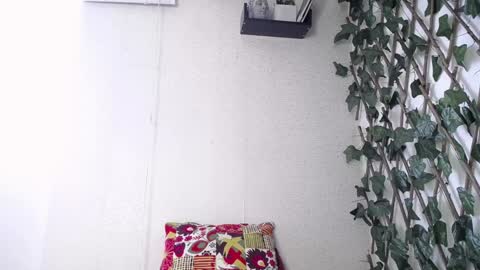 Snapshot of jasson_king01 chatting on January 13, 2:11 pm JKing online show from January 13, 2:11 pm