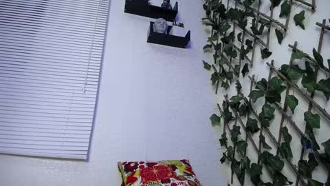 Snapshot of jasson_king01 chatting on January 24, 2:49 am JKing online show from January 24, 2:49 am