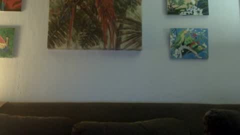 jay-jay1475 online show from June 17, 4:31 pm