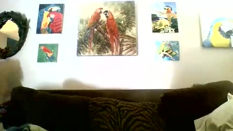 Snapshot of jay_jay1475 chatting on December 13, 6:38 pm jay-jay1475 online show from December 13, 6:38 pm