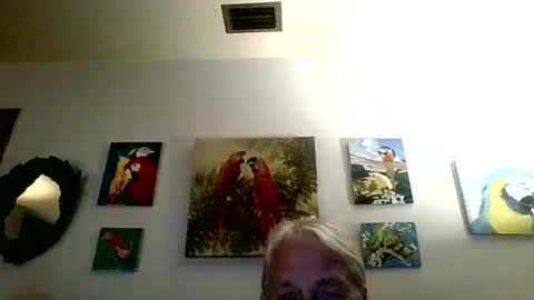 Snapshot of jay_jay1475 chatting on January 31, 6:03 pm jay-jay1475 online show from January 31, 6:03 pm