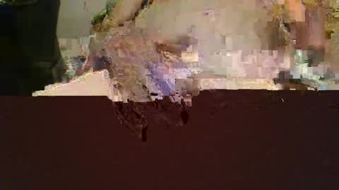 jaybird8 online show from December 11, 6:26 pm