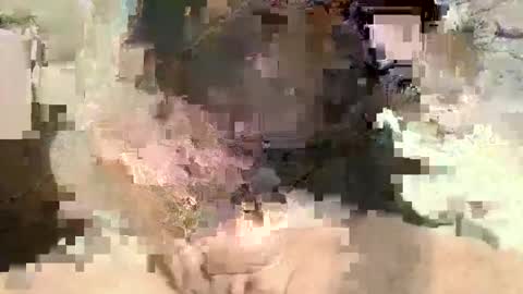 jaybird8 online show from January 11, 5:40 pm