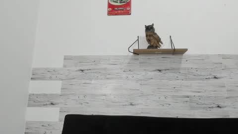 Snapshot of jaycreedd chatting on October 22, 2:37 am Jaycreedd online show from October 22, 2:37 am