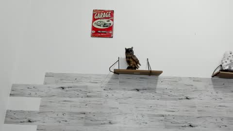 Snapshot of jaycreedd chatting on October 13, 1:44 am Jaycreedd online show from October 13, 1:44 am