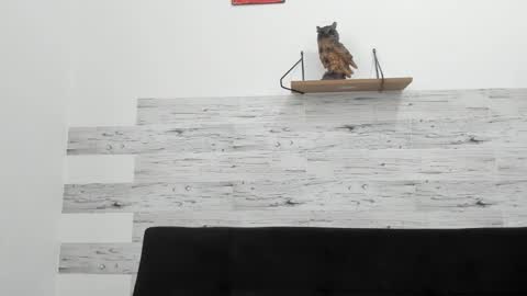 Snapshot of jaycreedd chatting on October 18, 3:39 pm Jaycreedd online show from October 18, 3:39 pm