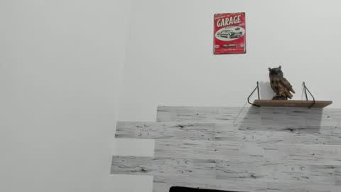 Snapshot of jaycreedd chatting on November 2, 2:27 am Jaycreedd online show from November 2, 2:27 am