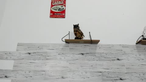 Snapshot of jaycreedd chatting on October 24, 4:58 am Jaycreedd online show from October 24, 4:58 am