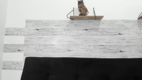 Snapshot of jaycreedd chatting on October 29, 4:15 am Jaycreedd online show from October 29, 4:15 am