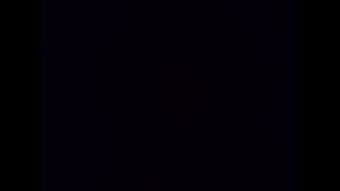 jd505050 online show from January 12, 10:19 am