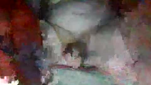Snapshot of jearnold44 chatting on September 13, 4:46 am jearnold44 online show from September 13, 4:46 am