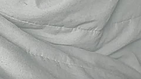 jedishy925585 online show from November 15, 11:23 am