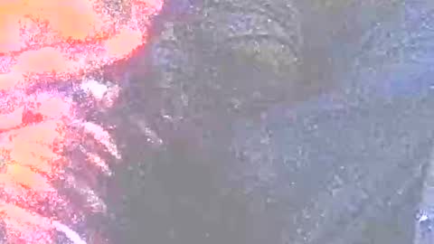 jedishy925585 online show from January 11, 7:45 am