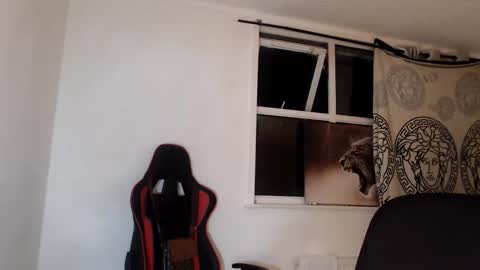 jefflowell_ online show from January 31, 7:11 pm