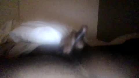 Saint Jt online show from April 16, 6:24 am