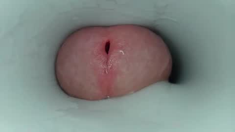 jeffrodgerschaturbat online show from March 17, 3:42 am