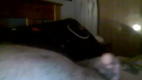 Snapshot of jerkmate6666 chatting on December 21, 6:19 am jerkmate6666 online show from December 21, 6:19 am