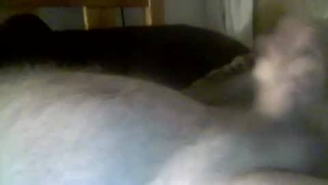 Snapshot of jerkmate6666 chatting on January 6, 2:58 am jerkmate6666 online show from January 6, 2:58 am