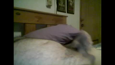 Snapshot of jerkmate6666 chatting on October 14, 2:40 am jerkmate6666 online show from October 14, 2:40 am