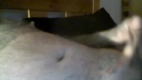 jerkmate6666 online show from May 1, 10:34 pm