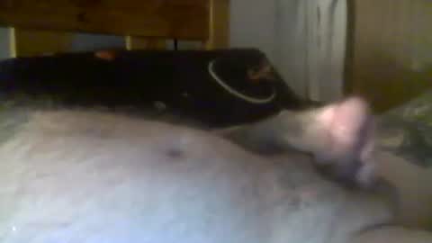 Snapshot of jerkmate6666 chatting on December 17, 12:12 am jerkmate6666 online show from December 17, 12:12 am