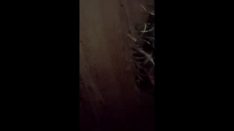 jessemwl8 online show from March 29, 3:06 am