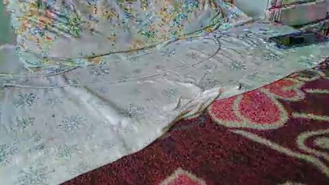 jhonnsand online show from October 20, 5:50 pm