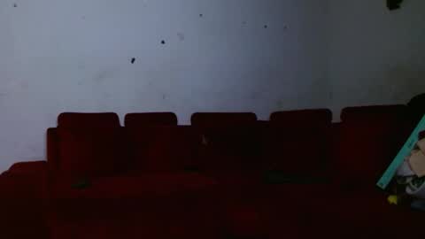 Snapshot of joao_leao chatting on December 4, 11:19 am joao_leao online show from December 4, 11:19 am