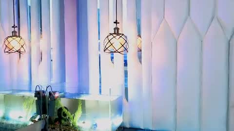 joe jhonson online show from April 27, 11:40 am