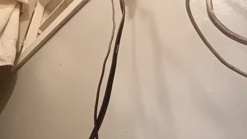 joetownjigadultfilmproduction online show from November 10, 10:15 pm