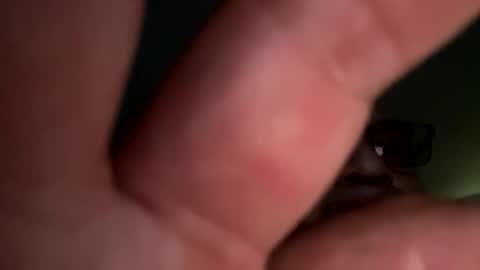 joh830459 online show from February 15, 10:40 pm