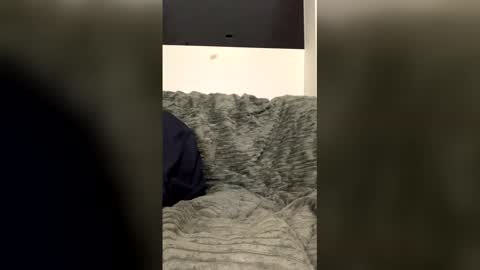 Jown online show from February 6, 1:24 am